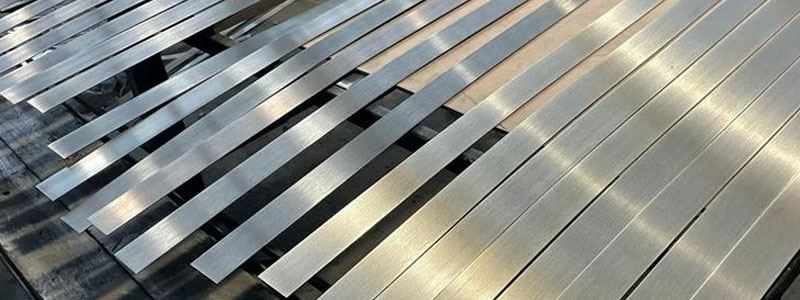 Strip Supplier, Stockist, Importer & Exporter in India Strip Supplier, Stockist, Importer & Exporter in India